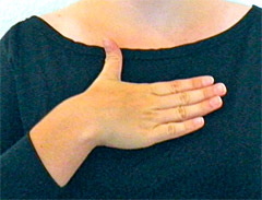 bafa en langue des signes